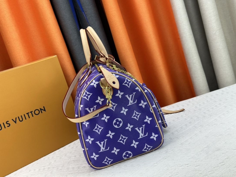 LV Travel Bags